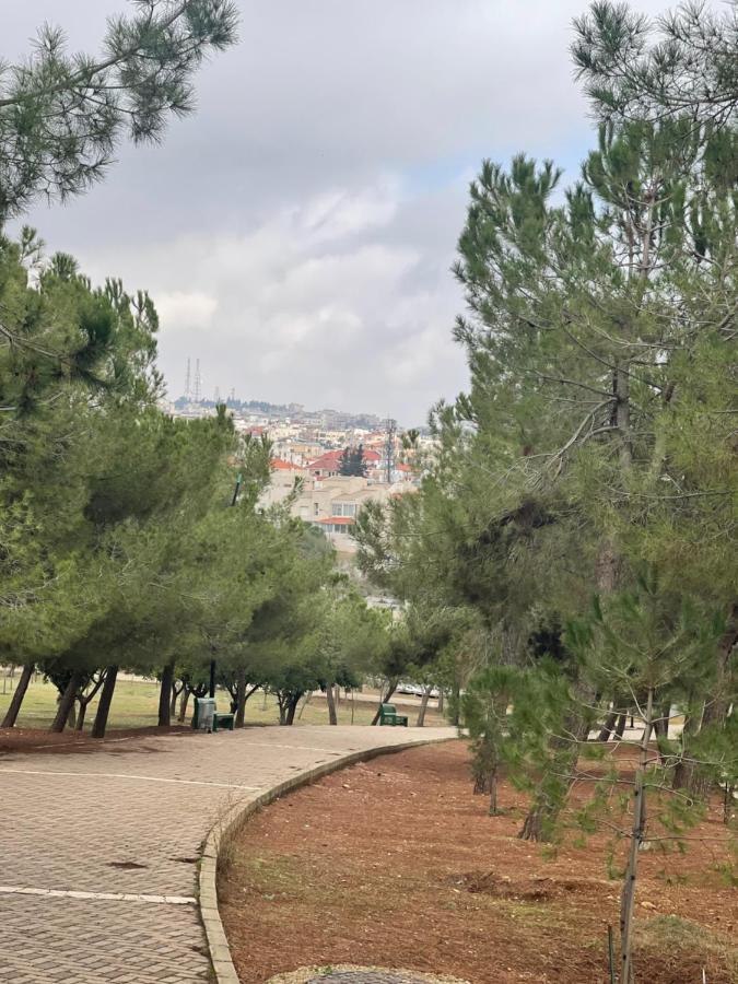 Beautifull Rooftop With An Amazing Terrace View Apartment Amman